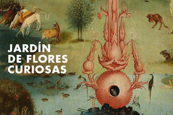 Jardín de flores curiosas